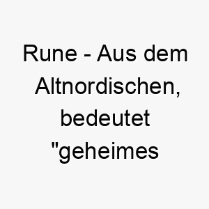 rune aus dem altnordischen bedeutet geheimes zeichen oder geheimnis ideal fuer einen mysterioesen oder einzigartigen hund 25492