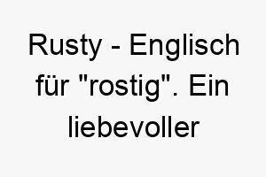 rusty englisch fuer rostig ein liebevoller name fuer einen hund mit rostfarbenem fell 25753