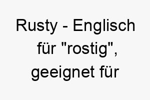 rusty englisch fuer rostig geeignet fuer einen hund mit rostfarbenem fell 25480