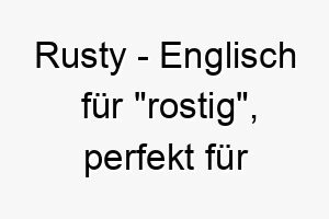 rusty englisch fuer rostig perfekt fuer einen hund mit rostfarbenem fell 25416