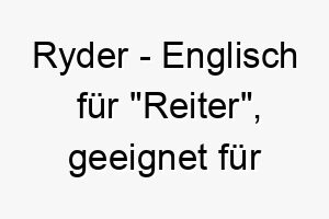 ryder englisch fuer reiter geeignet fuer einen aktiven oder abenteuerlustigen hund 25417