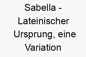 sabella lateinischer ursprung eine variation von isabel bedeutet geweiht zu gott 8974