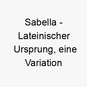 sabella lateinischer ursprung eine variation von isabel bedeutet geweiht zu gott 8974