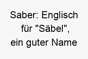 saber englisch fuer saebel ein guter name fuer einen scharfen oder wachen hund 26033