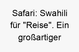 safari swahili fuer reise ein grossartiger name fuer einen abenteuerlustigen hund 26076