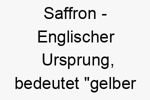 saffron englischer ursprung bedeutet gelber gewuerz 8988