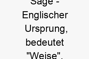 sage englischer ursprung bedeutet weise 8998