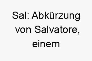 sal abkuerzung von salvatore einem italienischen namen der retter bedeutet 26034