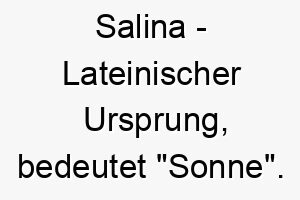 salina lateinischer ursprung bedeutet sonne 8999