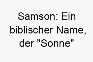 samson ein biblischer name der sonne bedeutet koennte passend sein fuer einen starken oder mutigen hund 26077