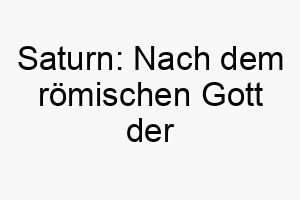 saturn nach dem roemischen gott der landwirtschaft und des reichtums benannt gut fuer einen ruhigen oder geduldigen hund 25906