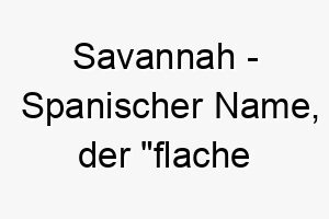 savannah spanischer name der flache graslandschaft bedeutet 8922