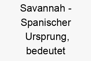 savannah spanischer ursprung bedeutet baumloser ebene 8977