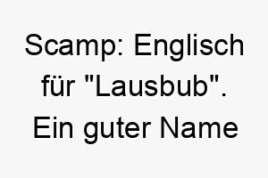 scamp englisch fuer lausbub ein guter name fuer einen verspielten oder frechen hund 26038