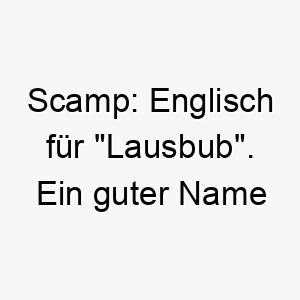 scamp englisch fuer lausbub ein guter name fuer einen verspielten oder frechen hund 26038