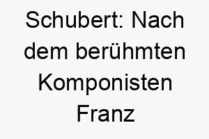 schubert nach dem beruehmten komponisten franz schubert benannt ein guter name fuer musikliebhaber 26039