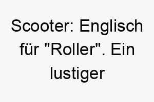 scooter englisch fuer roller ein lustiger name fuer einen schnellen oder aktiven hund 26040