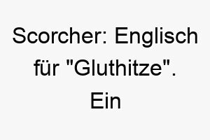 scorcher englisch fuer gluthitze ein passender name fuer einen hund mit viel energie oder einer feurigen persoenlichkeit 26078