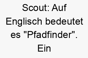 scout auf englisch bedeutet es pfadfinder ein passender name fuer einen erkundungsfreudigen hund 25868