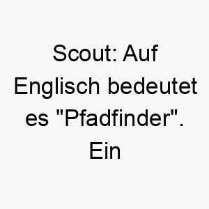 scout auf englisch bedeutet es pfadfinder ein passender name fuer einen erkundungsfreudigen hund 25868