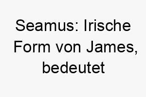 seamus irische form von james bedeutet ersetzer oder nachfolger 25908