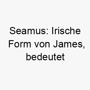 seamus irische form von james bedeutet ersetzer oder nachfolger 25908