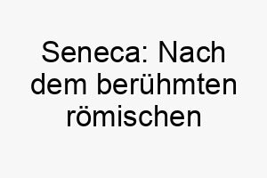 seneca nach dem beruehmten roemischen philosophen und staatsmann benannt passend fuer einen weisen hund 25909