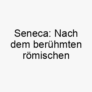 seneca nach dem beruehmten roemischen philosophen und staatsmann benannt passend fuer einen weisen hund 25909