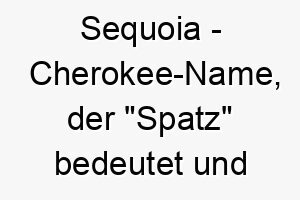 sequoia cherokee name der spatz bedeutet und nach dem baum sequoia benannt ist 8938