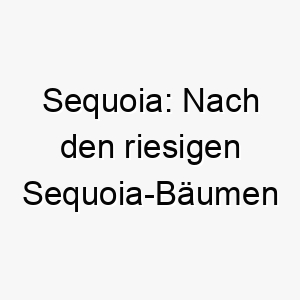 sequoia nach den riesigen sequoia baeumen benannt ein passender name fuer einen grossen oder majestaetischen hund 25910