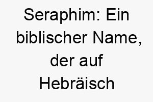 seraphim ein biblischer name der auf hebraeisch brennende bedeutet passend fuer einen leidenschaftlichen oder energischen hund 25911