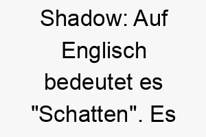 shadow auf englisch bedeutet es schatten es koennte fuer einen schwarzen oder heimlichen hund passen 25869