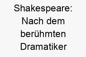 shakespeare nach dem beruehmten dramatiker william shakespeare benannt ein geeigneter name fuer einen dramatischen oder theatralischen hund 26041