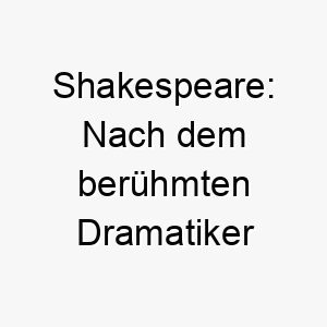 shakespeare nach dem beruehmten dramatiker william shakespeare benannt ein geeigneter name fuer einen dramatischen oder theatralischen hund 26041