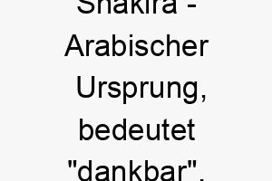 shakira arabischer ursprung bedeutet dankbar 8993