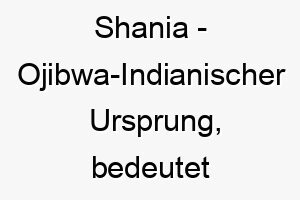 shania ojibwa indianischer ursprung bedeutet ich bin auf meinem weg 8965