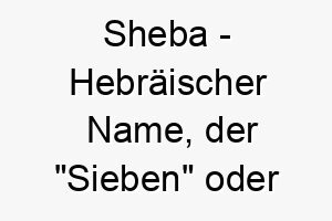 sheba hebraeischer name der sieben oder eid bedeutet 8951