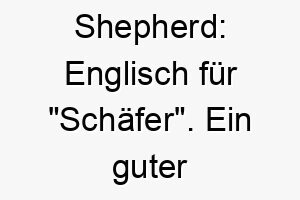 shepherd englisch fuer schaefer ein guter name fuer einen schaeferhund oder einen anderen herdenhund 26044