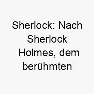 sherlock nach sherlock holmes dem beruehmten detektiv benannt ideal fuer einen klugen oder neugierigen hund 25912