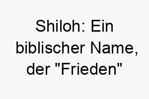 shiloh ein biblischer name der frieden bedeutet 26046