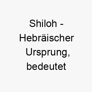 shiloh hebraeischer ursprung bedeutet frieden 9003