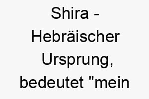 shira hebraeischer ursprung bedeutet mein lied 8966