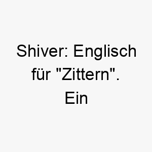 shiver englisch fuer zittern ein ungewoehnlicher name moeglicherweise passend fuer einen sehr aktiven oder aufgeregten hund 26081