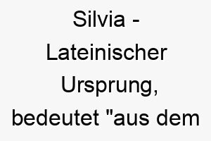 silvia lateinischer ursprung bedeutet aus dem wald 9013