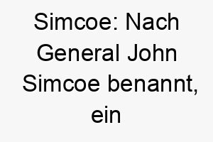 simcoe nach general john simcoe benannt ein guter name fuer einen stolzen oder mutigen hund 26047