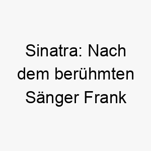 sinatra nach dem beruehmten saenger frank sinatra benannt ein guter name fuer musikliebhaber 26048