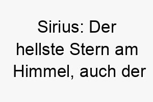 sirius der hellste stern am himmel auch der name von harry potters patenonkel der sich in einen hund verwandeln kann 25871