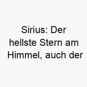 sirius der hellste stern am himmel auch der name von harry potters patenonkel der sich in einen hund verwandeln kann 25871