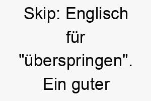 skip englisch fuer ueberspringen ein guter name fuer einen aktiven oder verspielten hund 26049