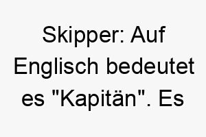 skipper auf englisch bedeutet es kapitaen es koennte fuer einen fuehrenden oder abenteuerlustigen hund passen 25872